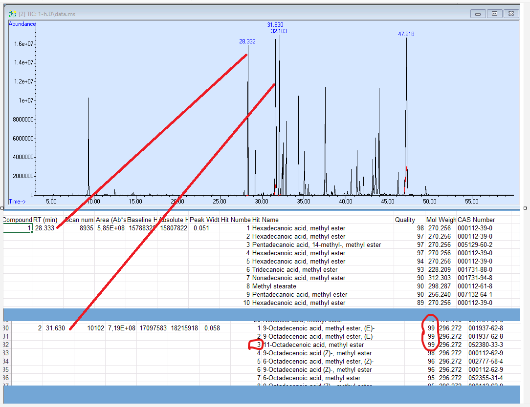 Collisium-S-Nist