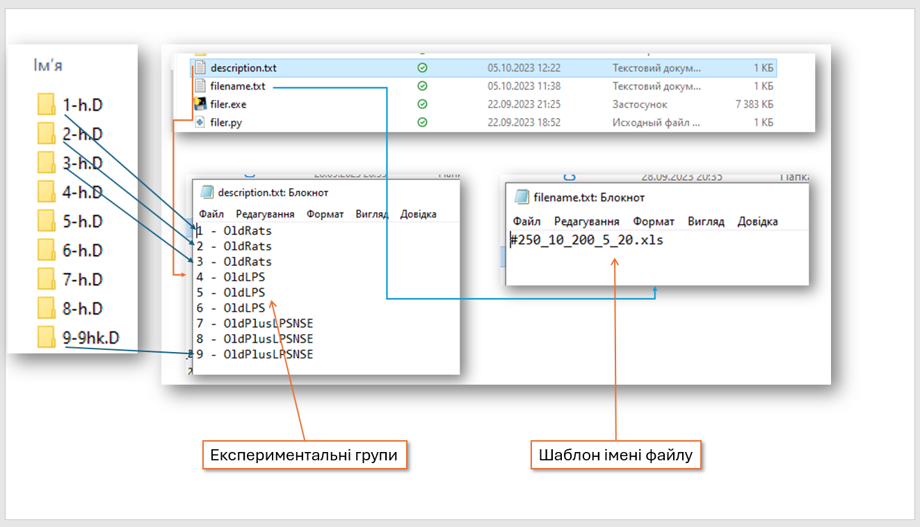 structure_description_filename